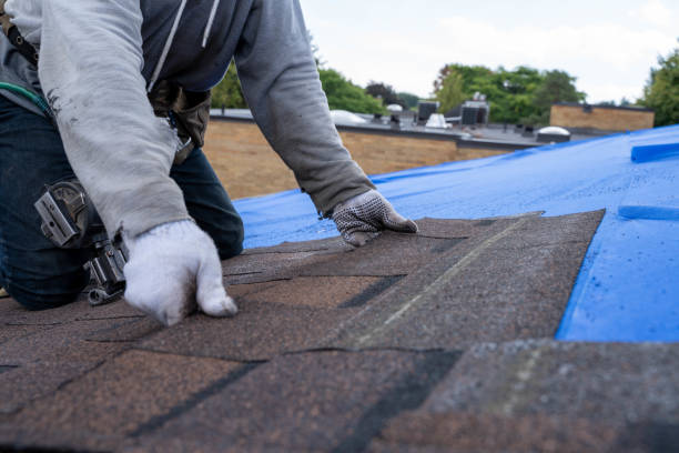 Best Roof Replacement Cost  in Dunbar, WV