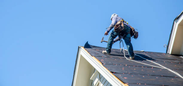 Best Roof Repair Services  in Dunbar, WV